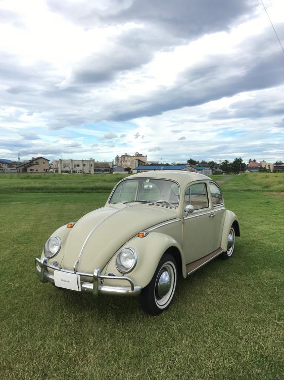 1965 beetle