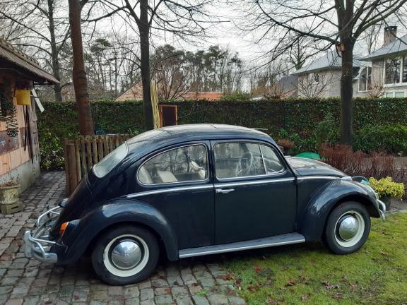 1965 type1 vw