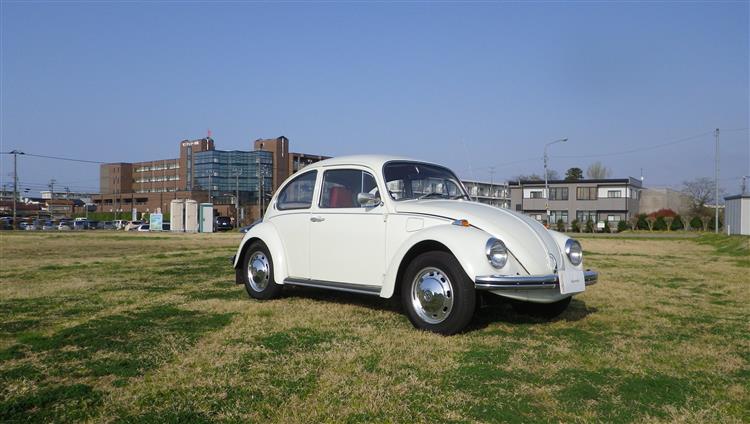 1971VW Type-1 Beetle