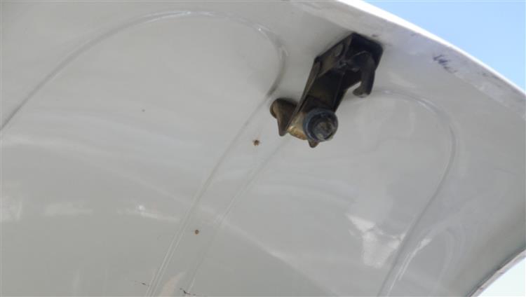 1971VW Type-1 Beetle