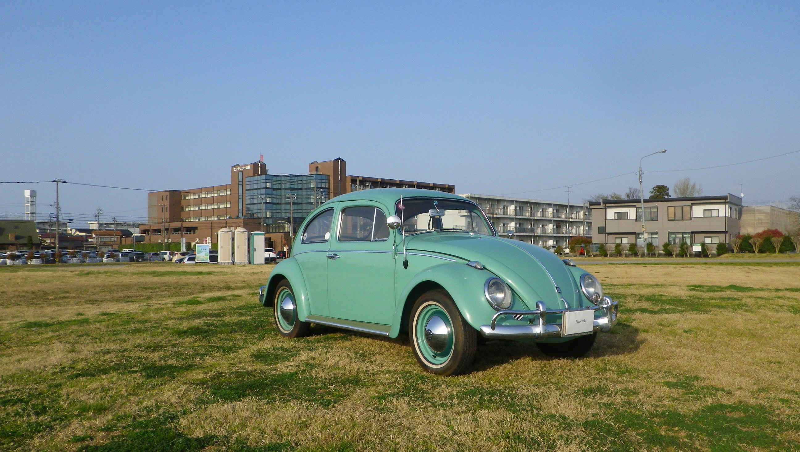 1963VW Type-1 Beetle
