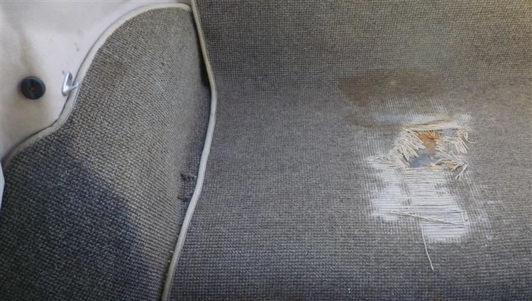 1963 VW Type-1 Beetle